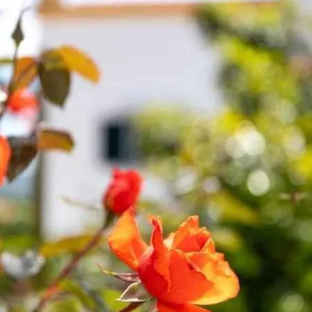 Villa Nuvem Cristina Casa Com Piscina Privativa Obidos Olho Marinho